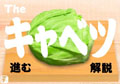 The キャベツ