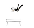 JumpingCat