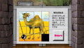 灰かぶりごっこ 
stage8 -哀願- 