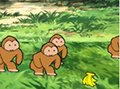 餌やり係