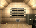 Attic Room Escape