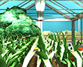 Greenhouse Escape