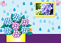 Rain Escape5