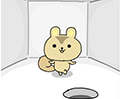 RISU Escape