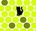 Chat Noir